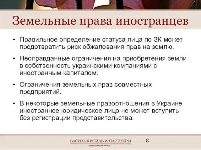 Земельные права иностранцев Правильное определение статуса лица по ЗК может предотвратить риск