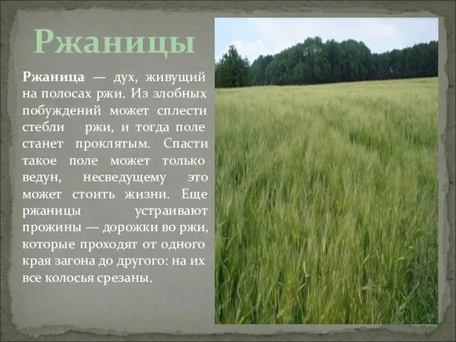 Ржаница — дух, живущий на полосах ржи. Из злобных побуждений может сплести