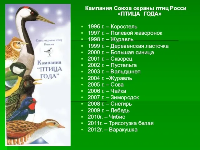 Кампания Союза охраны птиц Росси «ПТИЦА ГОДА» 1996 г. – Коростель 1997