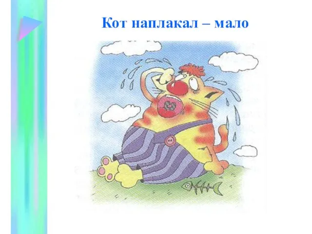 Кот наплакал – мало Кот наплакал – мало