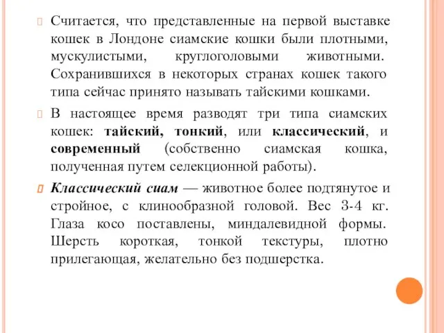 Считается, что представленные на первой выставке кошек в Лондоне сиамские кошки были