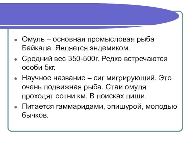 Омуль – основная промысловая рыба Байкала. Является эндемиком. Средний вес 350-500г. Редко