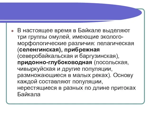 В настоящее время в Байкале выделяют три группы омулей, имеющие эколого-морфологические различия: