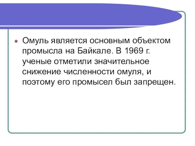 Омуль является основным объектом промысла на Байкале. В 1969 г. ученые отметили