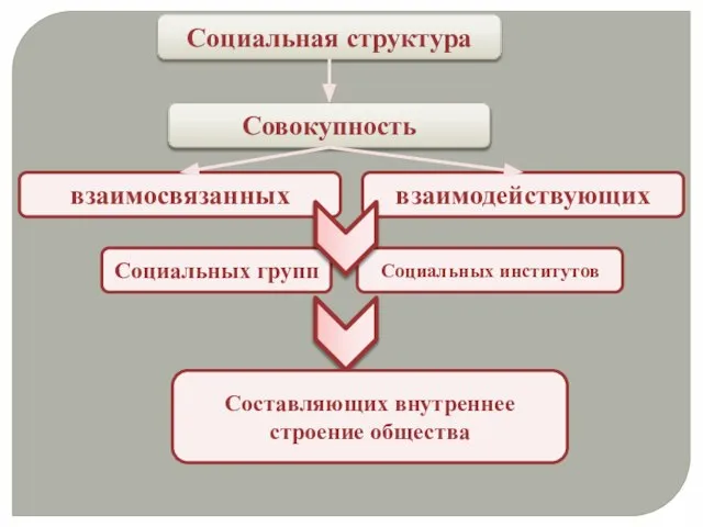 Социальная структура Совокупность взаимосвязанных взаимодействующих Социальных групп Социальных институтов Составляющих внутреннее строение общества