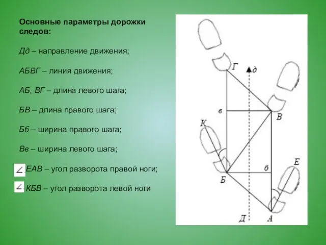 Основные параметры дорожки следов: Дд – направление движения; АБВГ – линия движения;