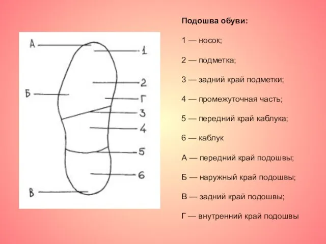 Подошва обуви: 1 — носок; 2 — подметка; 3 — задний край