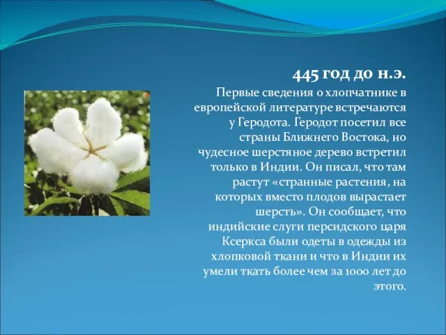 445 год до н.э. Первые сведения о хлопчатнике в европейской литературе встречаются