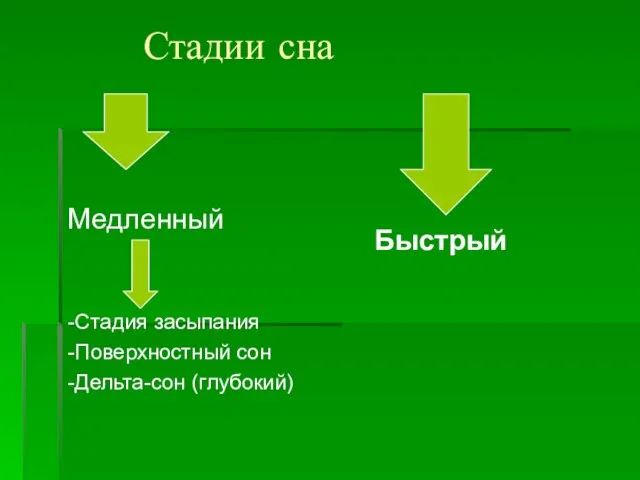 Стадии сна Медленный -Стадия засыпания -Поверхностный сон -Дельта-сон (глубокий) Быстрый