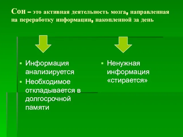 Сон – это активная деятельность мозга, направленная на переработку информации, накопленной за