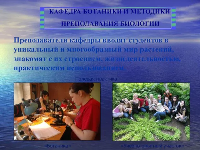 Преподаватели кафедры вводят студентов в уникальный и многообразный мир растений, знакомят с