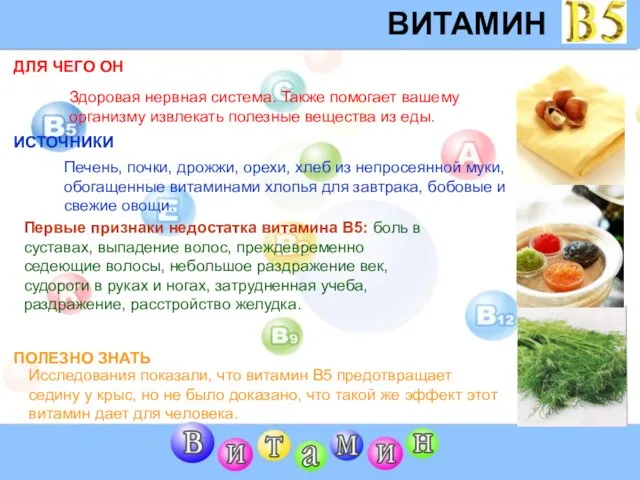 ВИТАМИН B5 ДЛЯ ЧЕГО ОН ИСТОЧНИКИ Первые признаки недостатка витамина В5: боль