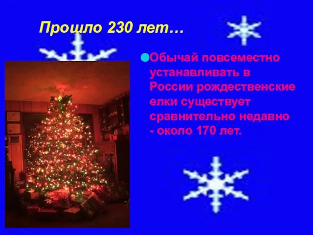 Прошло 230 лет… Обычай повсеместно устанавливать в России рождественские елки существует сравнительно