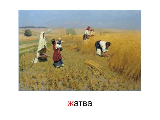 жатва