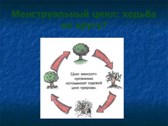 Менструальный цикл: ходьба по кругу?