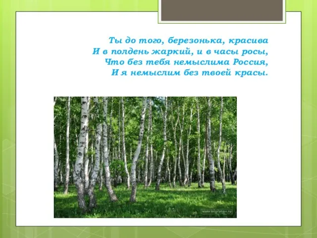 Ты до того, березонька, красива И в полдень жаркий, и в часы