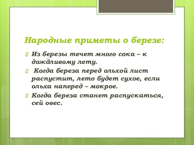 Народные приметы о березе: Из березы течет много сока – к дождливому