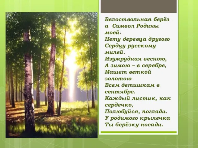 Белоствольная берёза Символ Родины моей. Нету деревца другого Сердцу русскому милей. Изумрудная