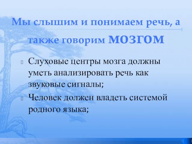 Мы слышим и понимаем речь, а также говорим мозгом Слуховые центры мозга