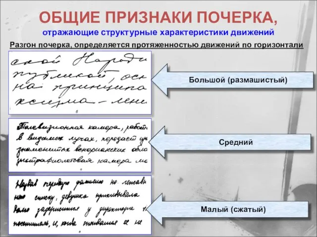 ОБЩИЕ ПРИЗНАКИ ПОЧЕРКА, отражающие структурные характеристики движений Разгон почерка, определяется протяженностью движений по горизонтали