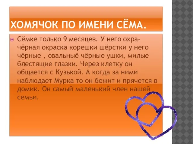 ХОМЯЧОК ПО ИМЕНИ СЁМА. Сёмке только 9 месяцев. У него охра-чёрная окраска