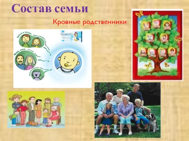 Состав семьи Кровные родственники