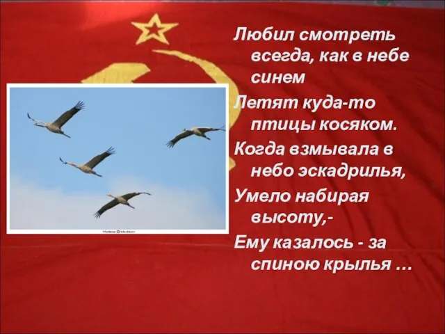 Любил смотреть всегда, как в небе синем Летят куда-то птицы косяком. Когда