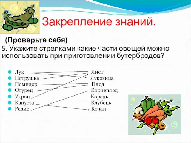 Закрепление знаний. Лук Лист Петрушка Луковица Помидор Плод Огурец Корнеплод Укроп Корень