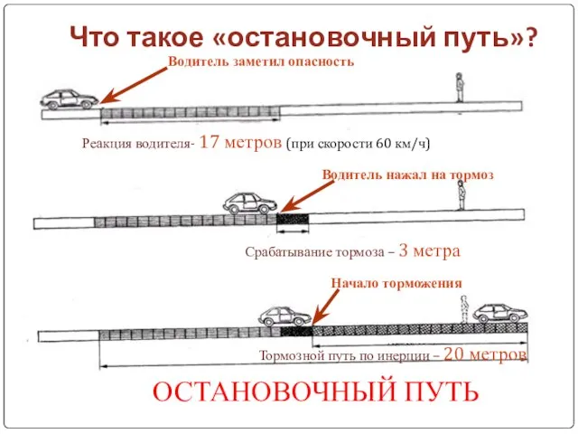 Что такое «остановочный путь»? Водитель заметил опасность Реакция водителя- 17 метров (при