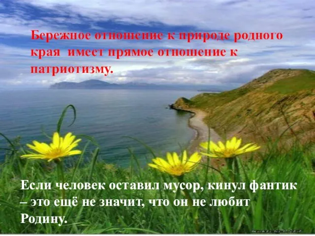 Бережное отношение к природе родного края имеет прямое отношение к патриотизму. Если