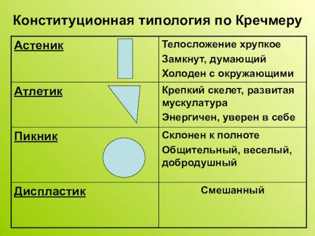 Конституционная типология по Кречмеру