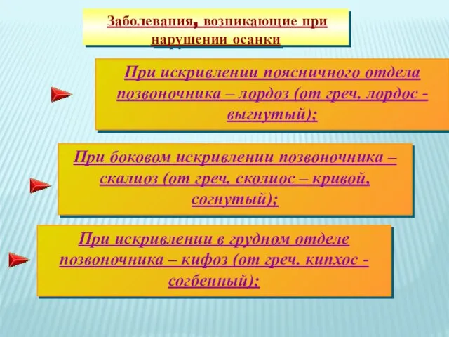 При искривлении в грудном отделе позвоночника – кифоз (от греч. кипхос -