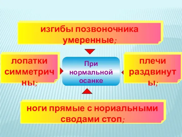 При нормальной осанке ноги прямые с нориальными сводами стоп; изгибы позвоночника умеренные; плечи раздвинуты; лопатки симметричны;