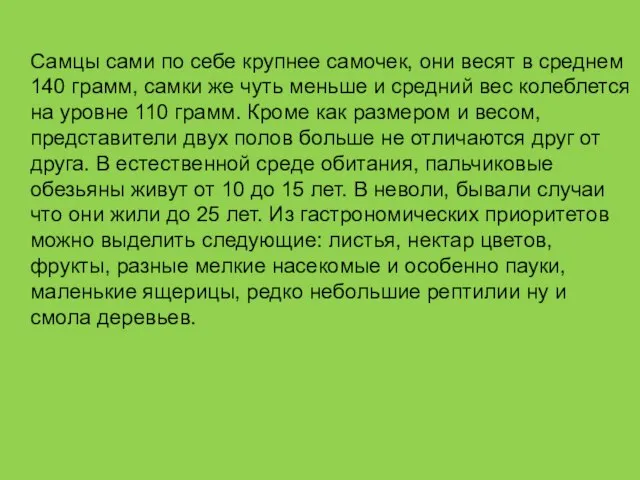 Самцы сами по себе крупнее самочек, они весят в среднем 140 грамм,