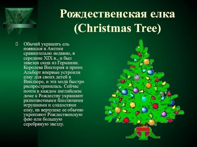 Рождественская елка (Christmas Tree) Обычай украшать ель появился в Англии сравнительно недавно,