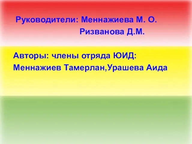 Руководители: Меннажиева М. О. Ризванова Д.М. Авторы: члены отряда ЮИД: Меннажиев Тамерлан,Урашева Аида