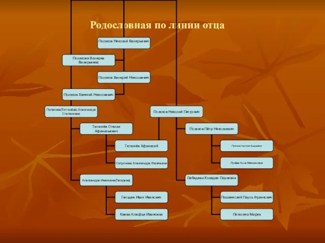 Родословная по линии отца