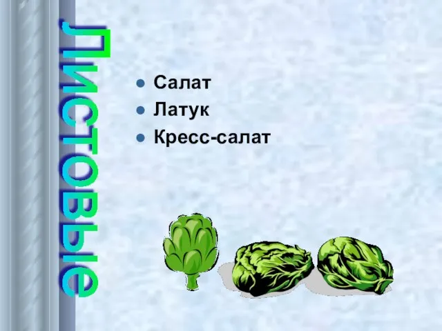 Салат Латук Кресс-салат Листовые