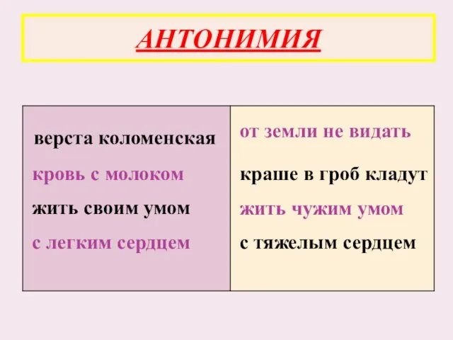 АНТОНИМИЯ