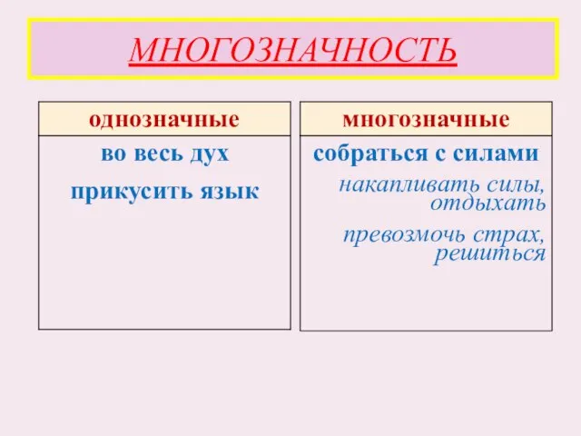 МНОГОЗНАЧНОСТЬ