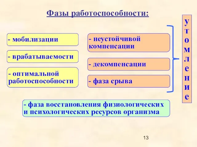 Фазы работоспособности: - мобилизации - врабатываемости - оптимальной работоспособности - неустойчивой компенсации