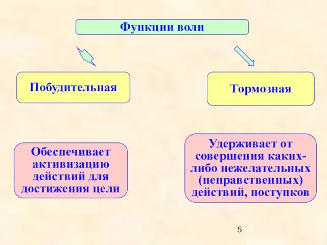 Побудительная Тормозная Функции воли Обеспечивает активизацию действий для достижения цели Удерживает от