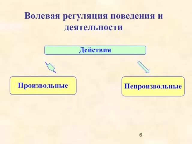 Произвольные Непроизвольные Действия Волевая регуляция поведения и деятельности