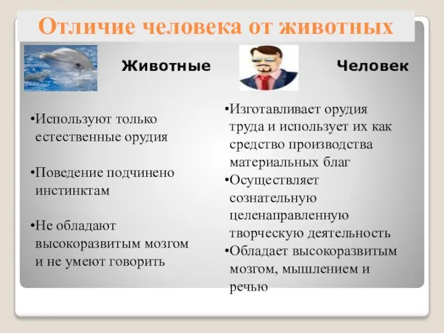 Отличие человека от животных Животные Человек Изготавливает орудия труда и использует их