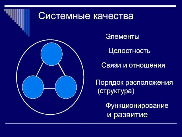 Системные качества Элементы Целостность Связи и отношения Порядок расположения (структура) Функционирование и развитие