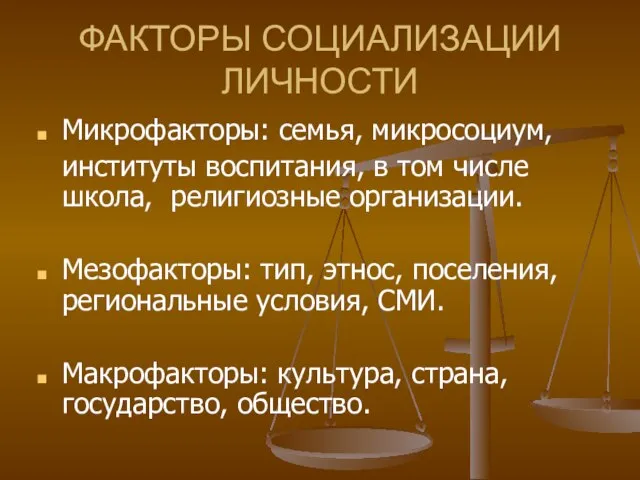 ФАКТОРЫ СОЦИАЛИЗАЦИИ ЛИЧНОСТИ Микрофакторы: семья, микросоциум, институты воспитания, в том числе школа,