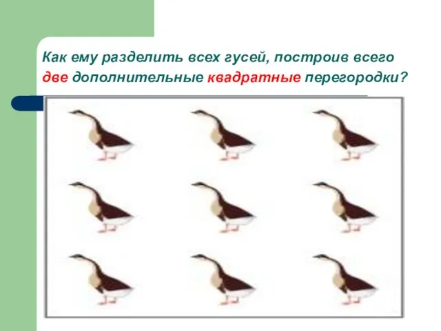 Как ему разделить всех гусей, построив всего две дополнительные квадратные перегородки?