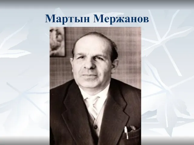 Мартын Мержанов