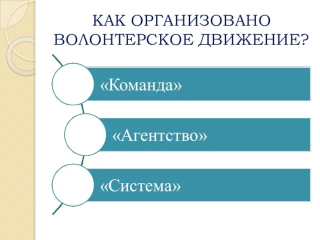 КАК ОРГАНИЗОВАНО ВОЛОНТЕРСКОЕ ДВИЖЕНИЕ?