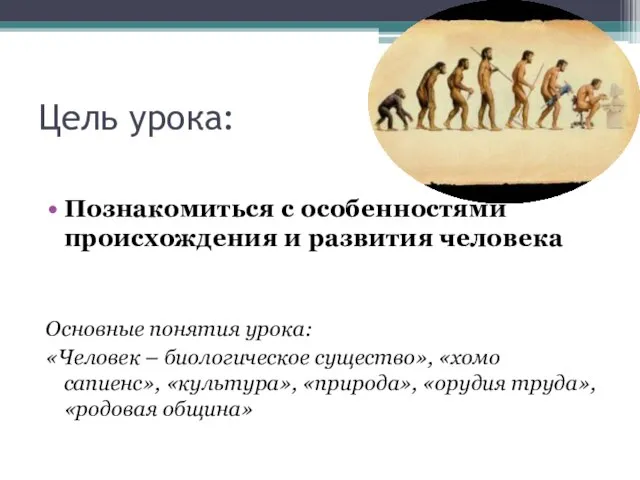 Цель урока: Познакомиться с особенностями происхождения и развития человека Основные понятия урока: